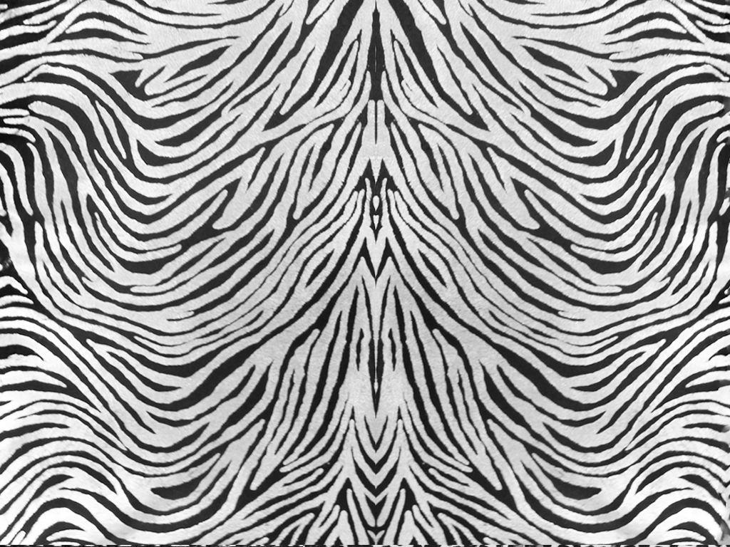 Zebra - Calf hair