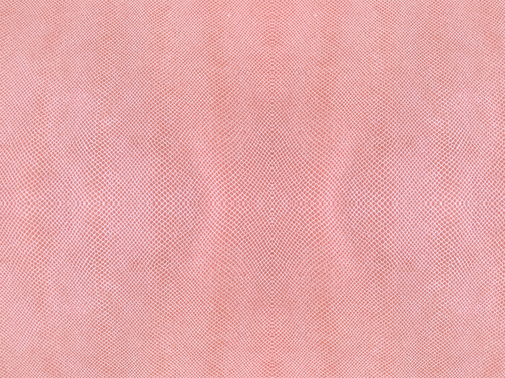 Blush - Snakeskin print